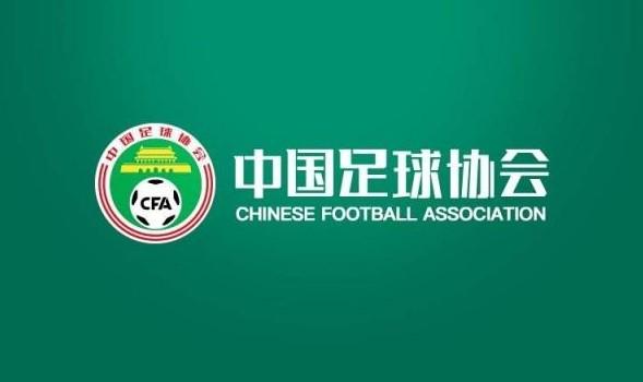 欧洲杯, 本土教练中